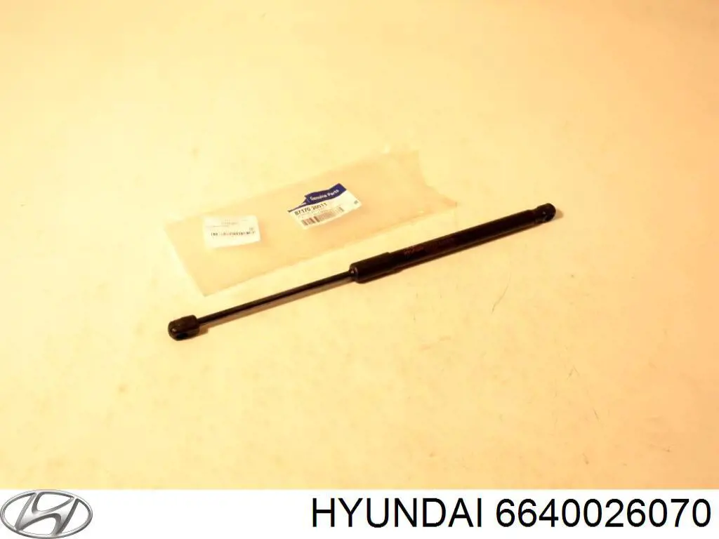 6640026070 Hyundai/Kia capó del motor