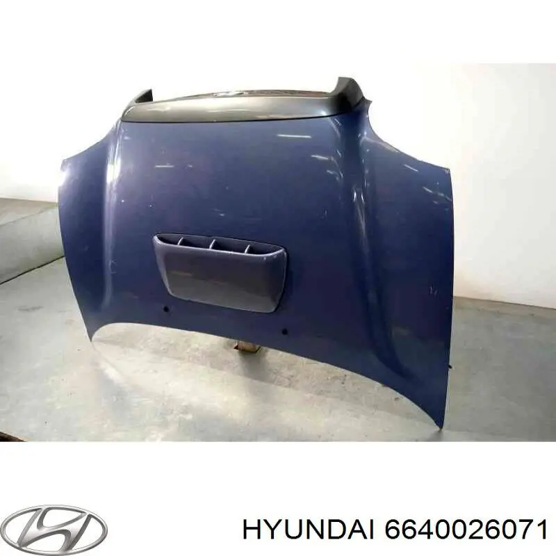 6640026071 Hyundai/Kia capó del motor