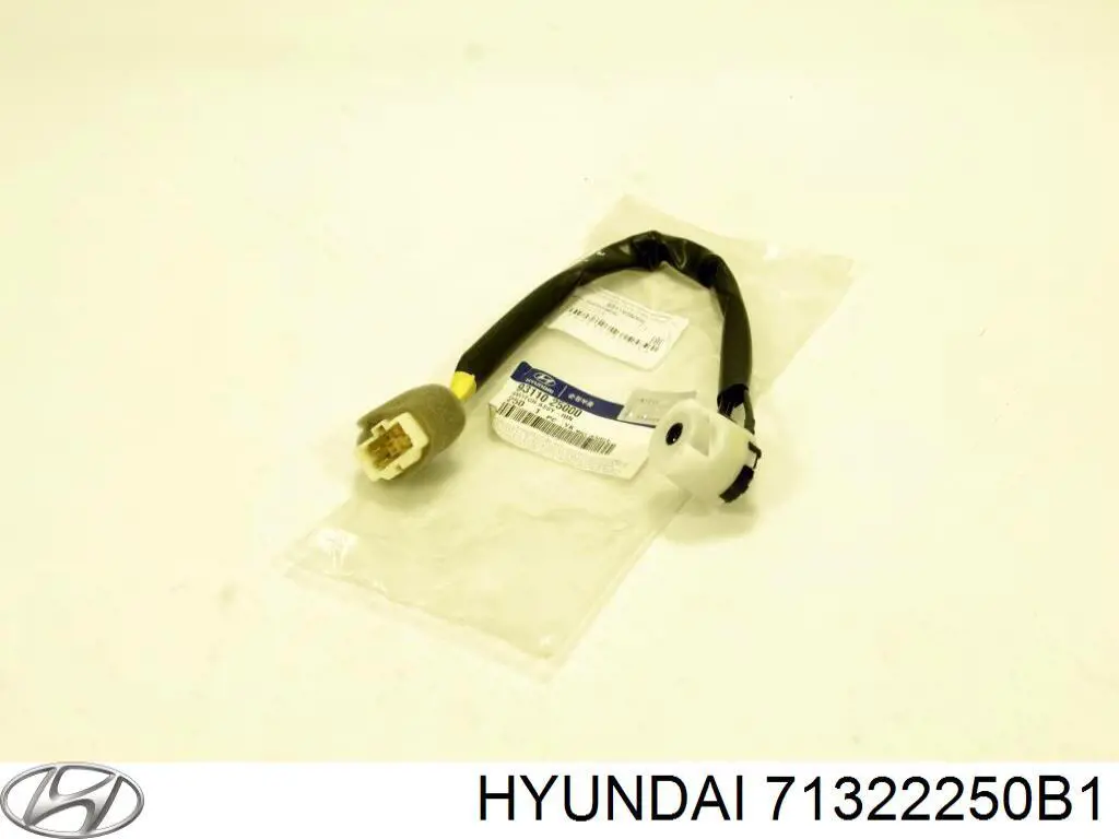  Chapa de acceso derecha para Hyundai Accent 2 