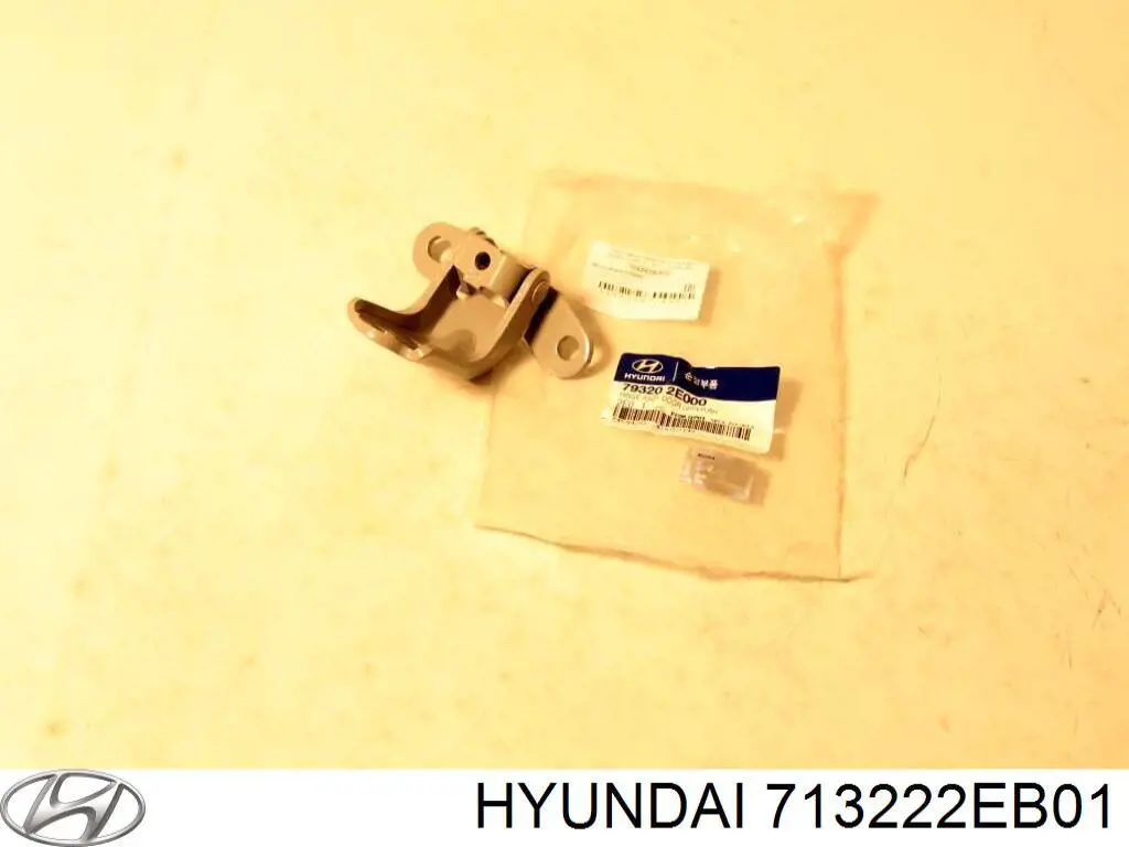 713222EB01 Hyundai/Kia chapa de acceso derecha