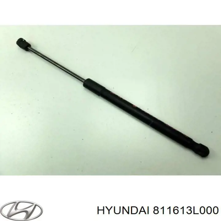  Muelle neumático, capó de motor para Hyundai Grandeur TG