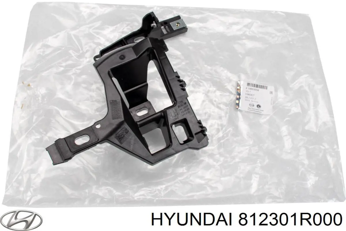 812301R000 Hyundai/Kia cerradura de puerta de maletero