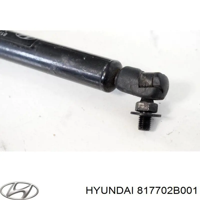 817702B001 Hyundai/Kia amortiguador de maletero