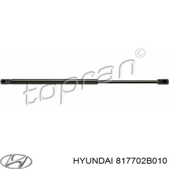 817702B010 Hyundai/Kia 