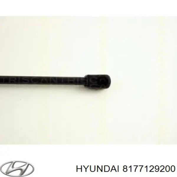 8177129200 Hyundai/Kia amortiguador de maletero