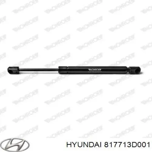 817713D001 Hyundai/Kia amortiguador de maletero