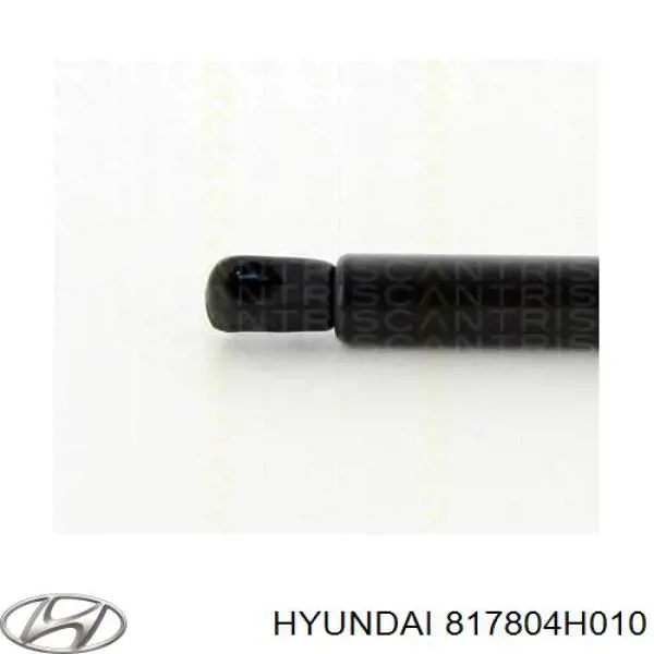 817804H010 Hyundai/Kia amortiguador de maletero