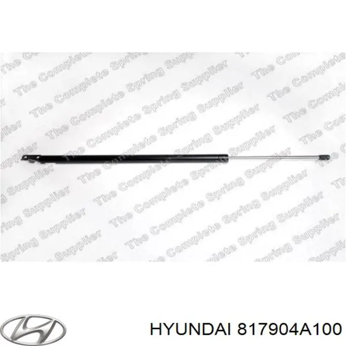 817904A100 Hyundai/Kia amortiguador de maletero