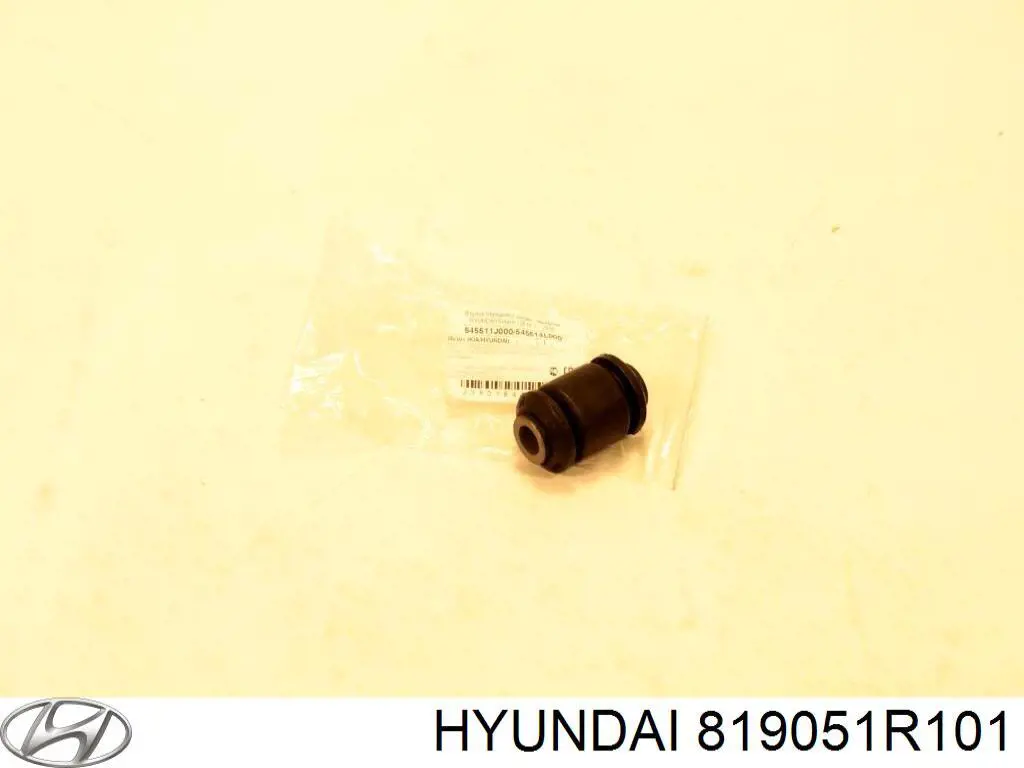 819051R101 Hyundai/Kia 