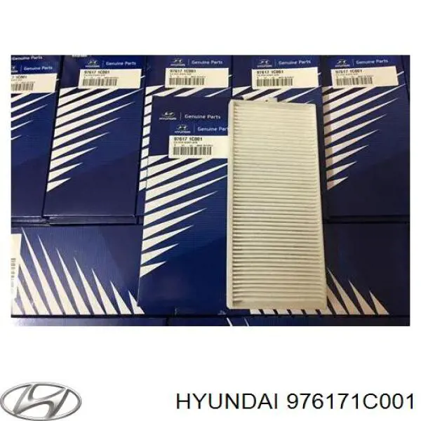 976171C001 Hyundai/Kia filtro de habitáculo