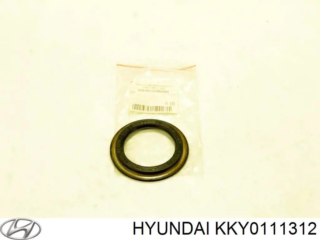 KKY0111312 Hyundai/Kia 