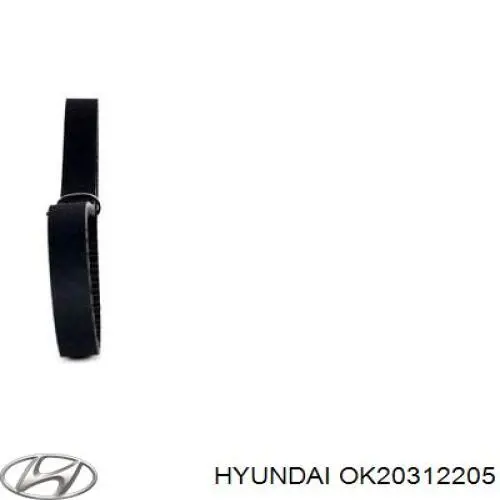 OK20312205 Hyundai/Kia correa distribucion