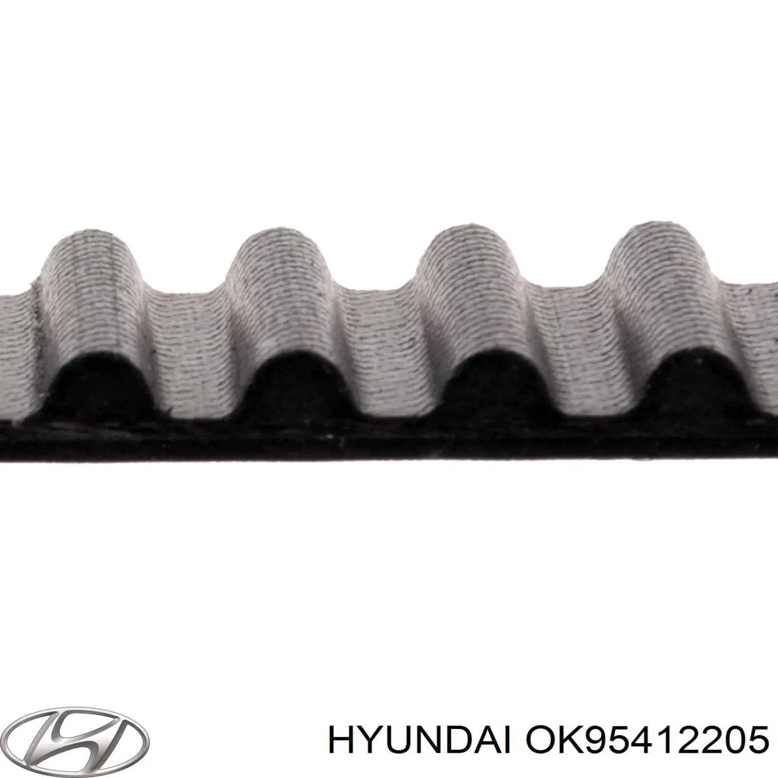 OK95412205 Hyundai/Kia correa distribucion