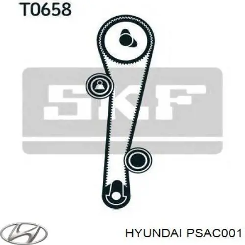 PSA-C001 Hyundai/Kia rodillo intermedio de correa dentada