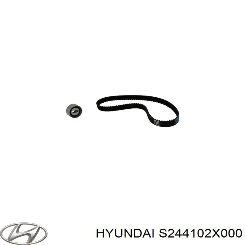 S244102X000 Hyundai/Kia rodillo, cadena de distribución