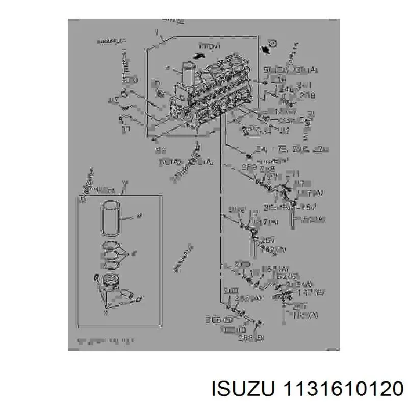 1131610120 Isuzu 