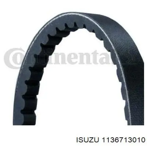 1136713010 Isuzu correa trapezoidal