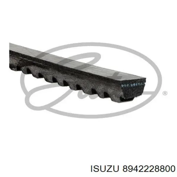 8942228800 Isuzu correa trapezoidal