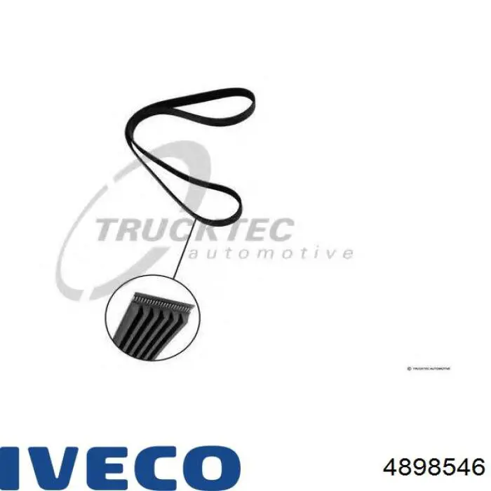 4898546 Iveco correa trapezoidal