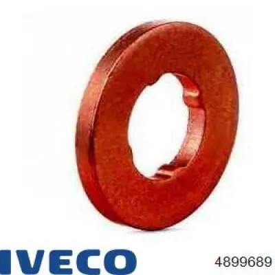 4899689 Iveco junta anular, inyector