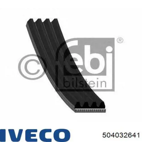 504032641 Iveco correa trapezoidal