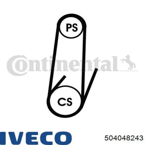 504048243 Iveco correa trapezoidal