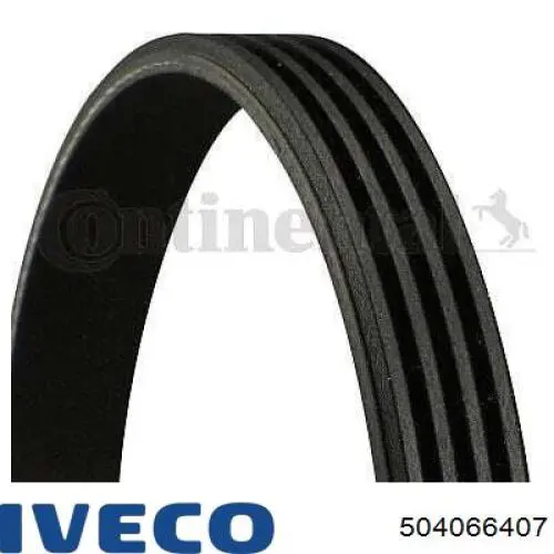 504066407 Iveco correa trapezoidal