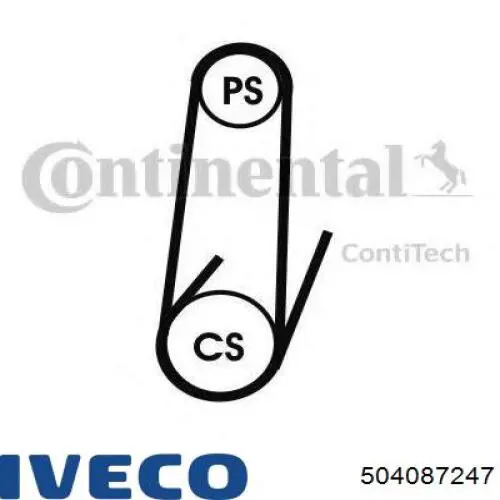 504087247 Iveco correa trapezoidal