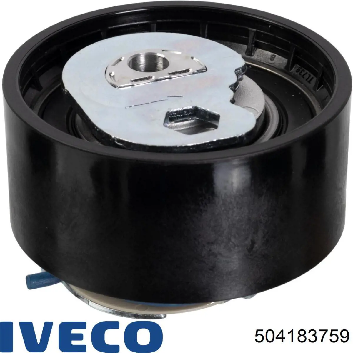 504183759 Iveco tensor, correa dentada