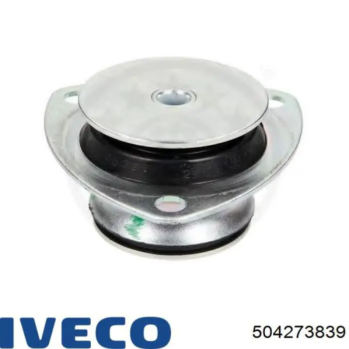 504273839 Iveco 