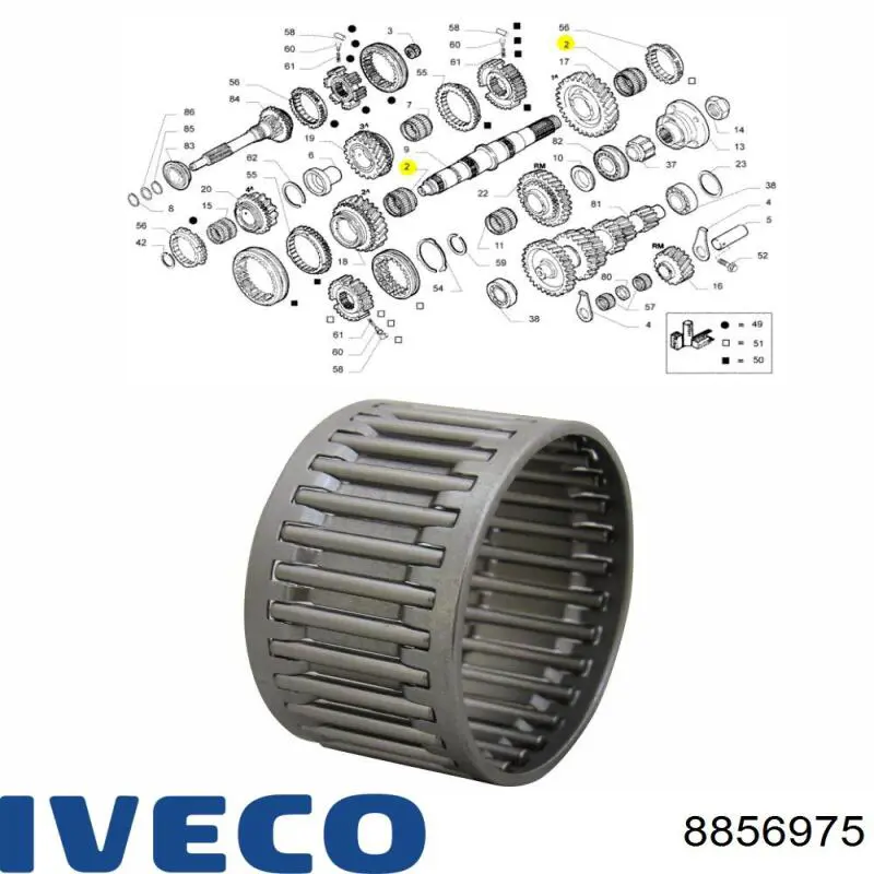 8856975 Iveco 