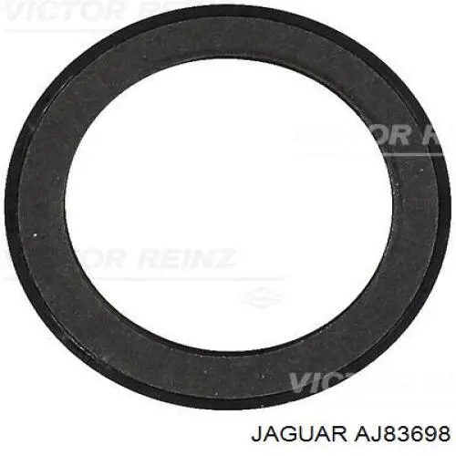  Anillo retén, cigüeñal frontal para Jaguar S-type CCX