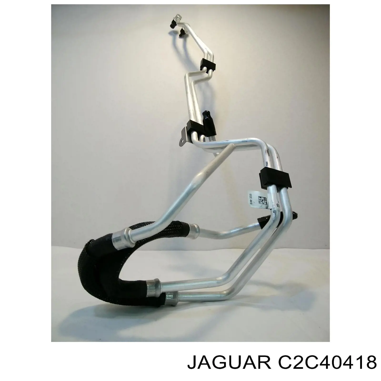 C2C40418 Jaguar 