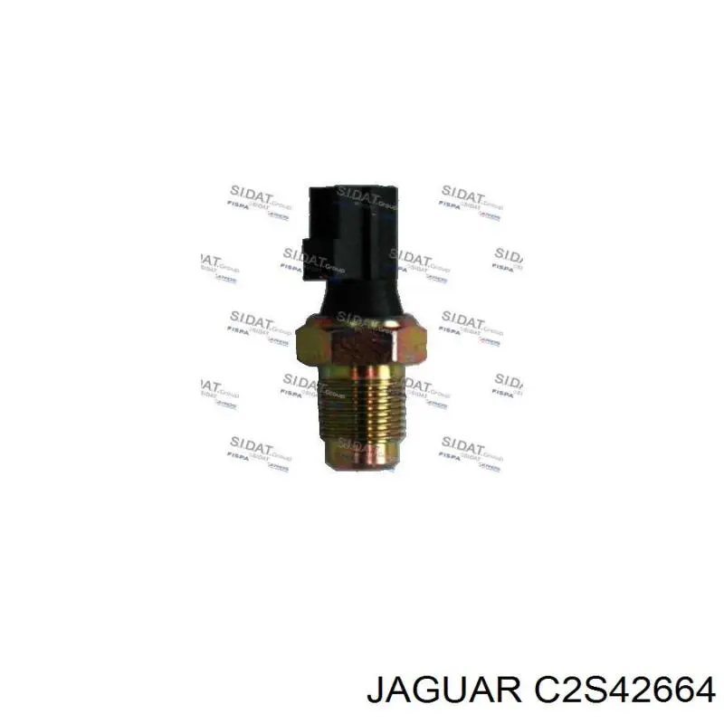 C2S42664 Jaguar 