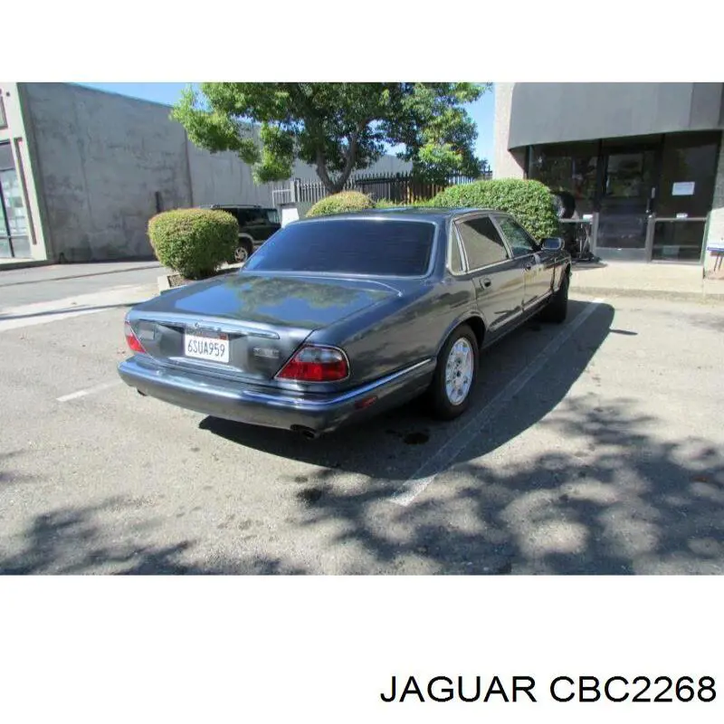 CBC2268 Jaguar 