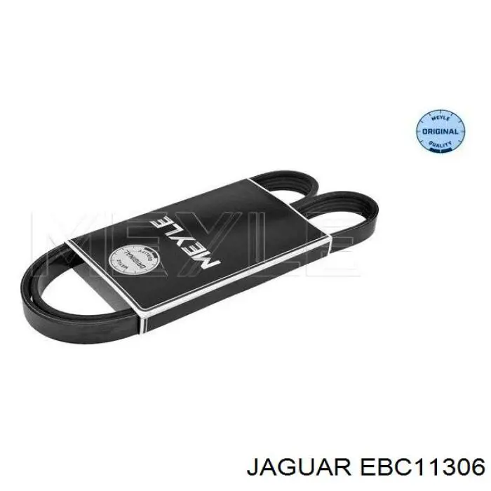 EBC11306 Jaguar correa trapezoidal