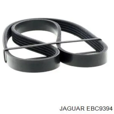 EBC9394 Jaguar correa trapezoidal