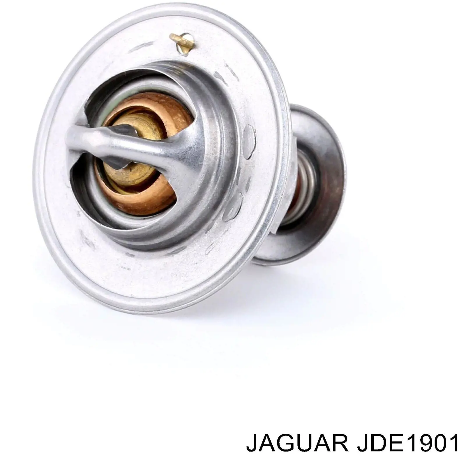 JDE1901 Jaguar termostato, refrigerante