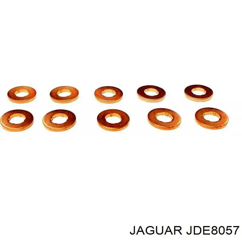 JDE8057 Jaguar junta anular, inyector