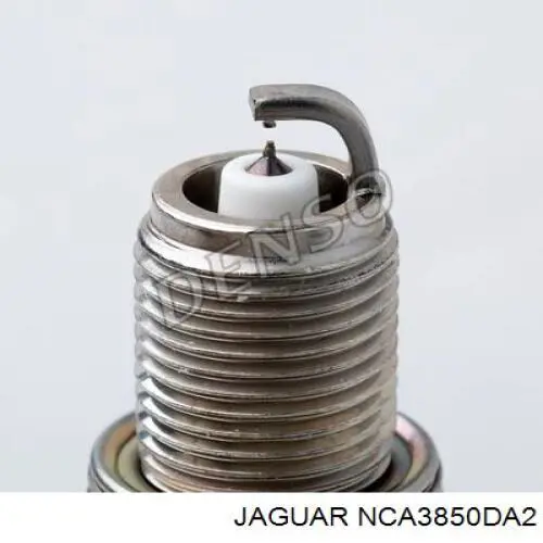 NCA3850DA2 Jaguar 