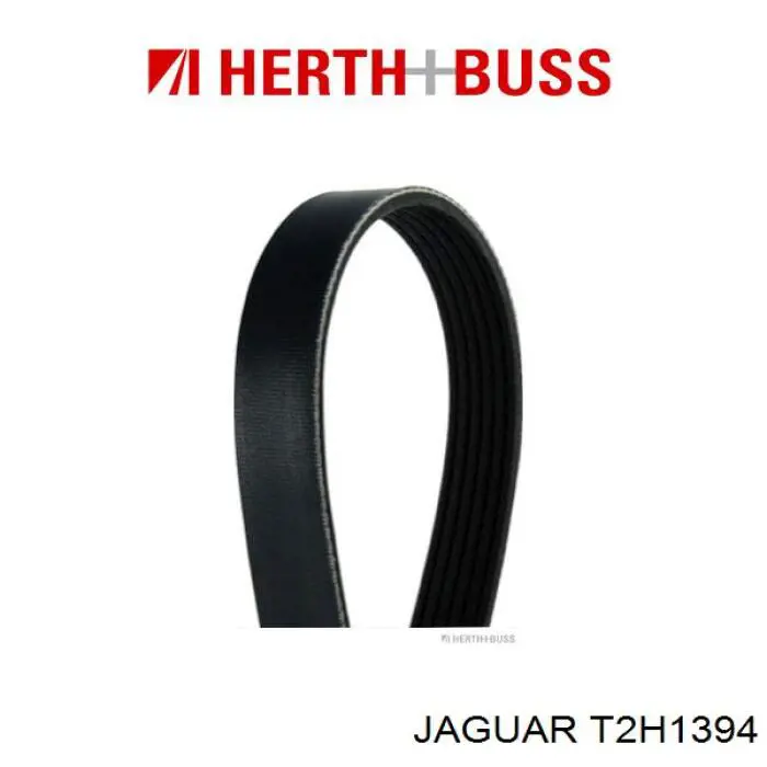 T2H1394 Jaguar correa trapezoidal