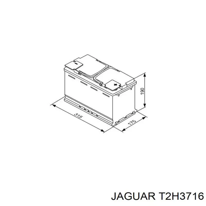 T2H3716 Jaguar 