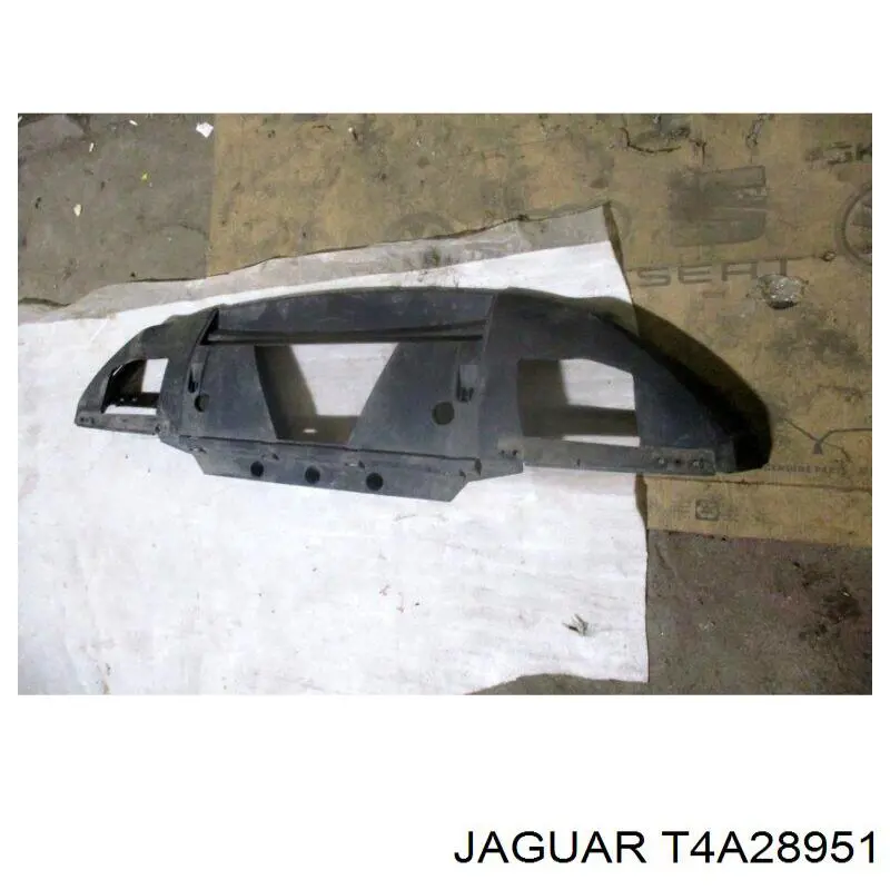 T4A28951 Jaguar 