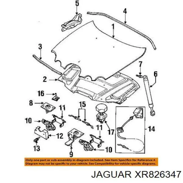 XR82461 Jaguar 