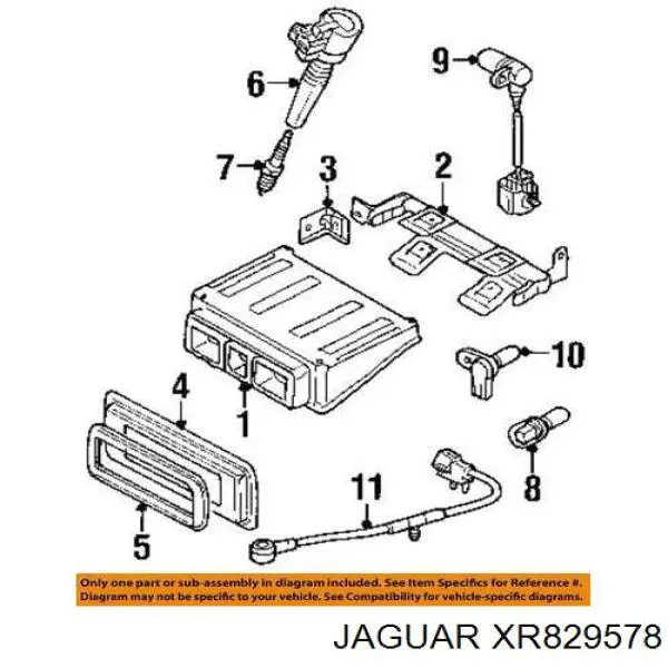 XR820208 Jaguar 