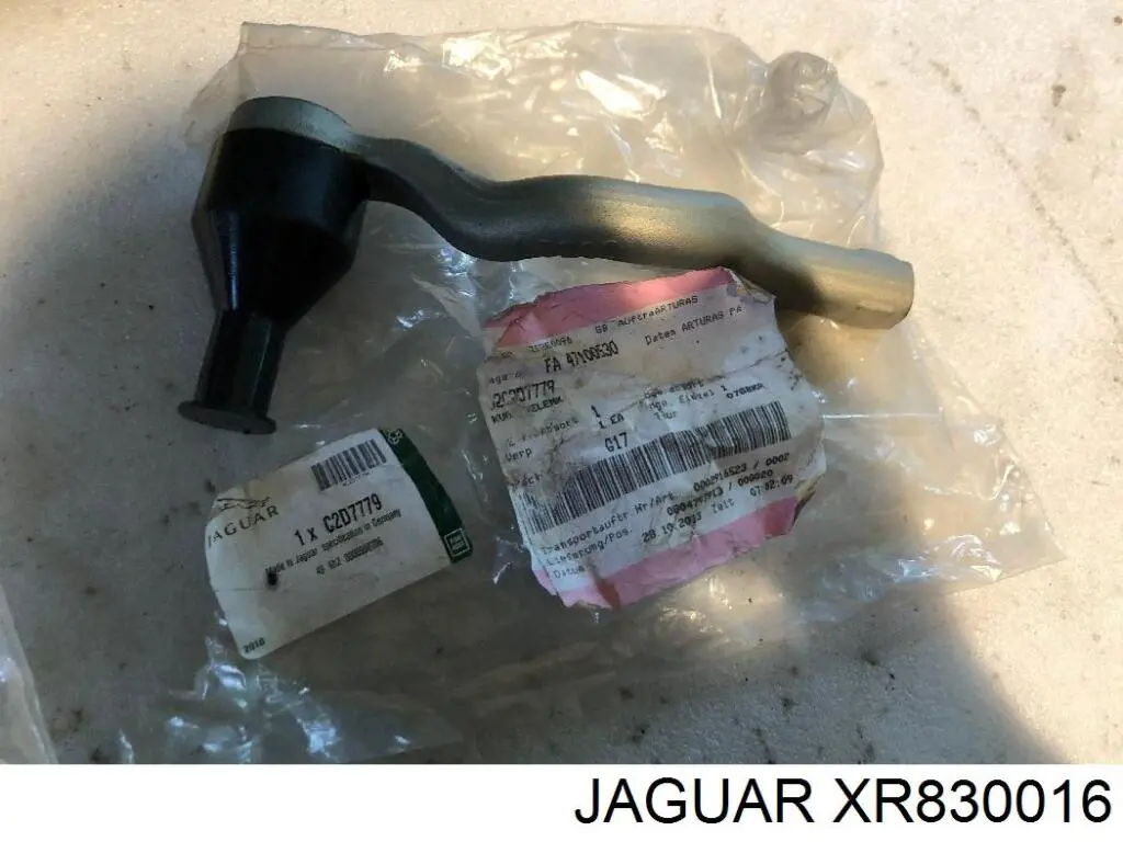 XR830016 Jaguar 