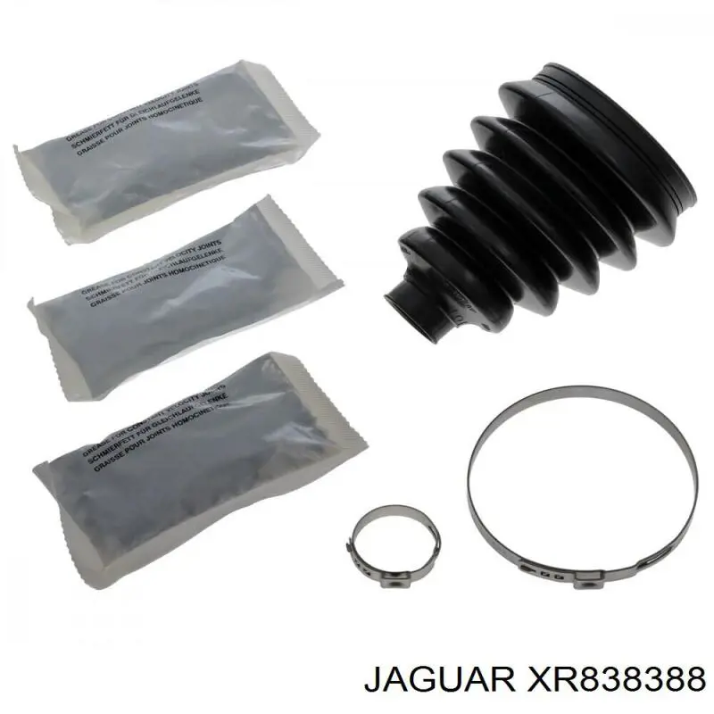 XR838388 Jaguar 