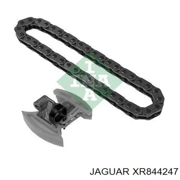 XR844247 Jaguar 