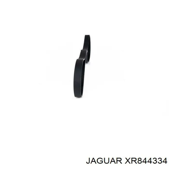 XR844334 Jaguar correa trapezoidal