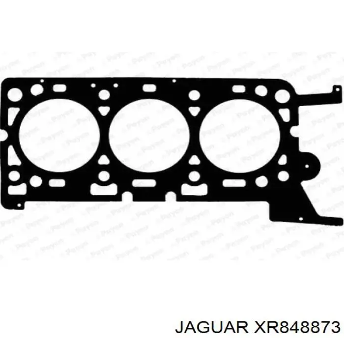  Junta de culata izquierda para Jaguar X-type CF1